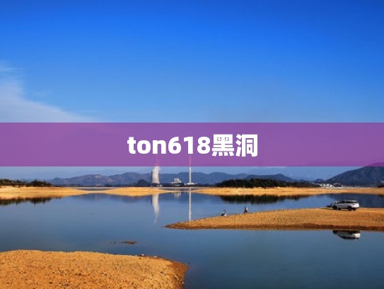ton618黑洞