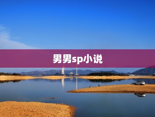 男男sp小说