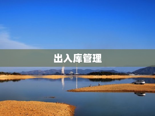 出入库管理