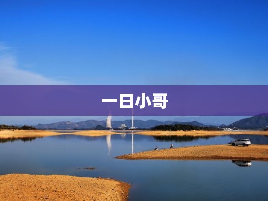 一日小哥