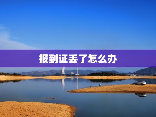 报到证丢了怎么办