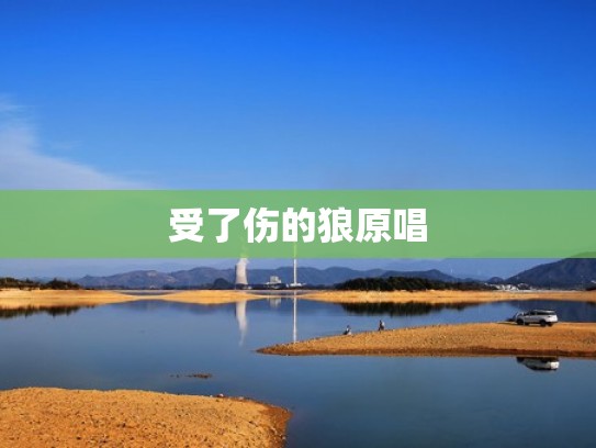 受了伤的狼原唱