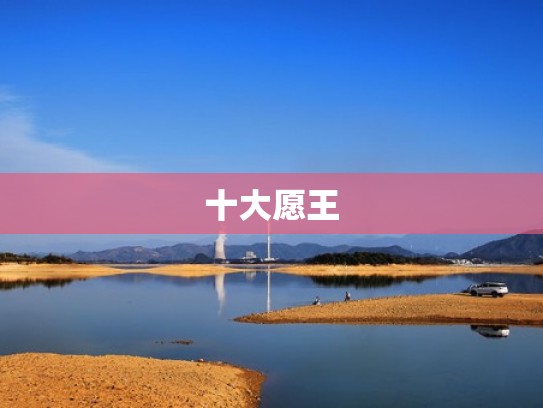 十大愿王