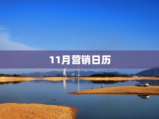 11月营销日历