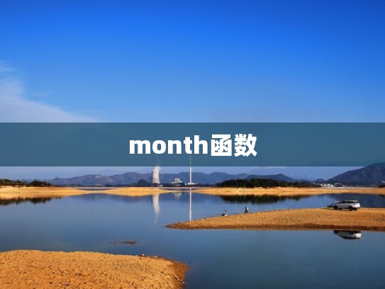 month函数