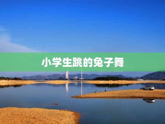 小学生跳的兔子舞