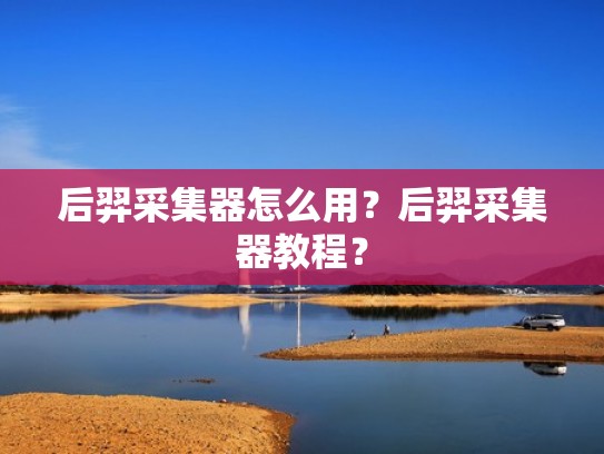 后羿采集器怎么用？后羿采集器教程？