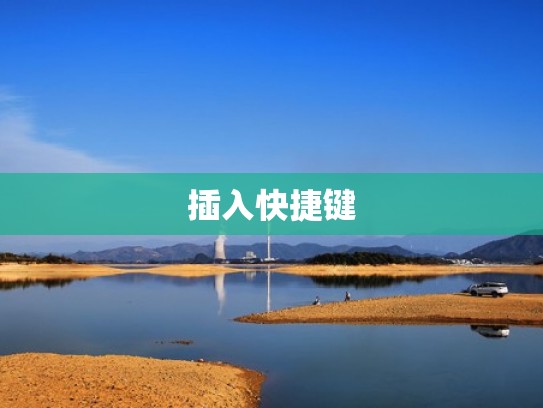 插入快捷键