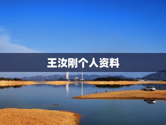 王汝刚个人资料