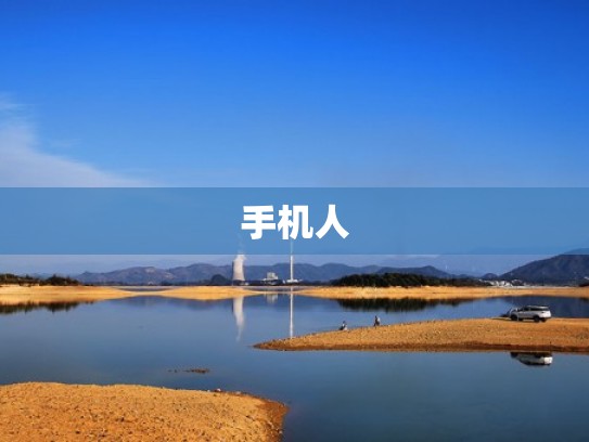 手机人