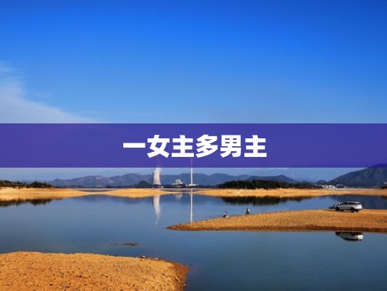 一女主多男主