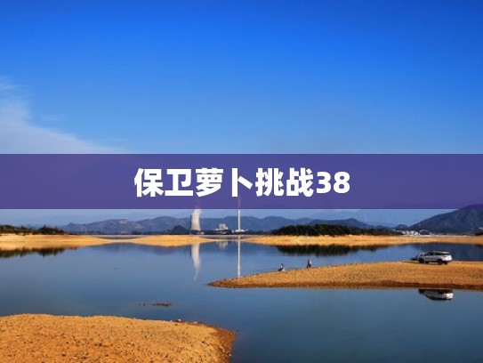 保卫萝卜挑战38