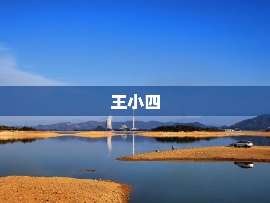 王小四