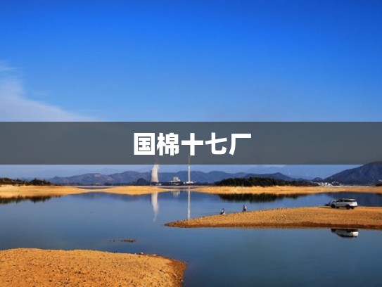 国棉十七厂