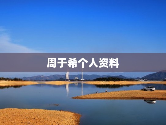 周于希个人资料