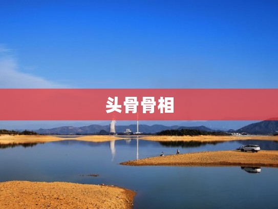 头骨骨相