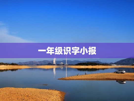 一年级识字小报