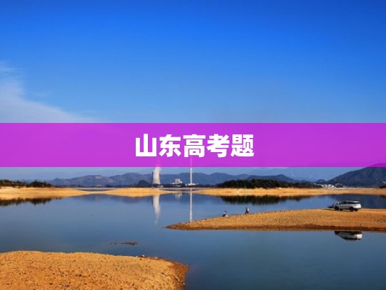 山东高考题