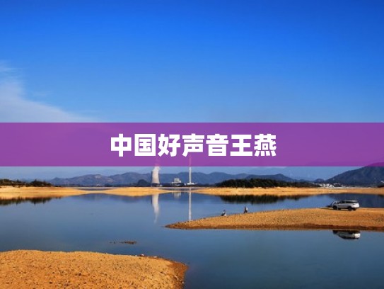 中国好声音王燕