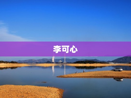李可心
