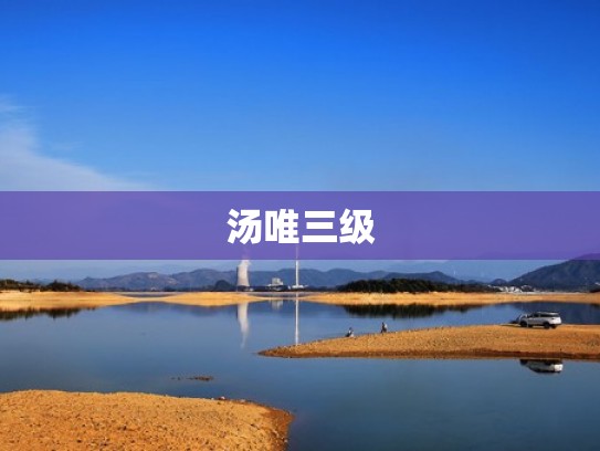 汤唯三级