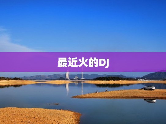 最近火的DJ