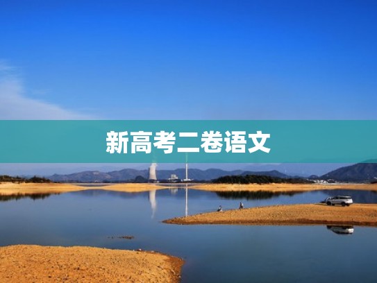 新高考二卷语文