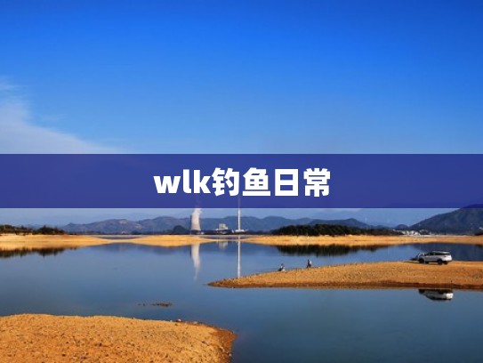 wlk钓鱼日常