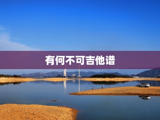 有何不可吉他谱