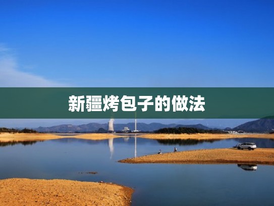 新疆烤包子的做法