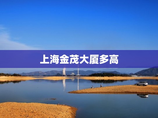 上海金茂大厦多高