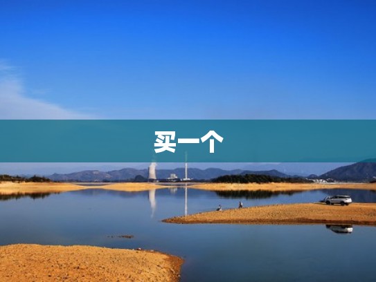 买一个