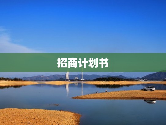 招商计划书