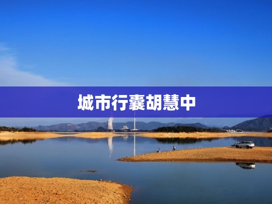 城市行囊胡慧中