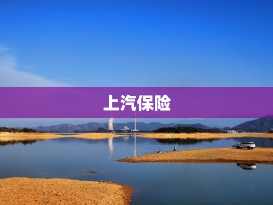 上汽保险