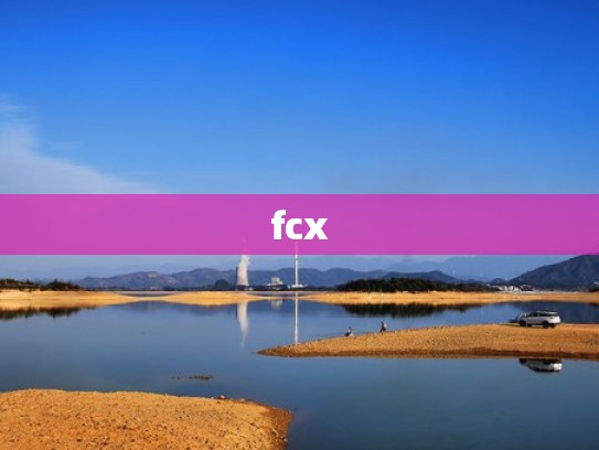 fcx