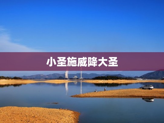 小圣施威降大圣