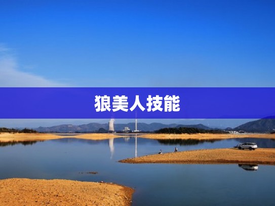 狼美人技能