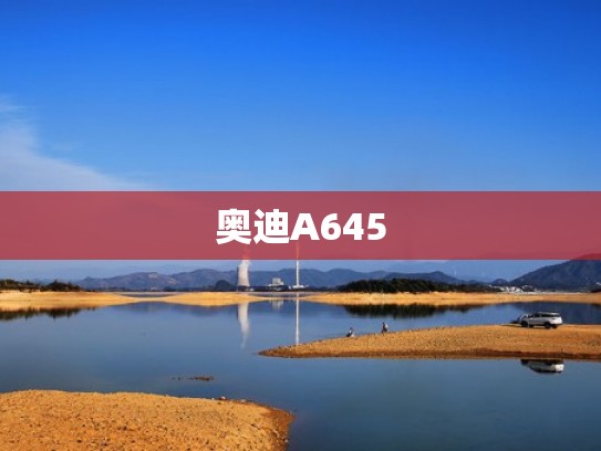 奥迪A645