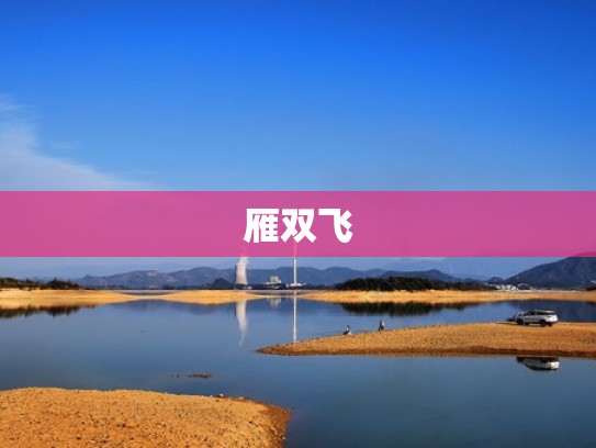 雁双飞