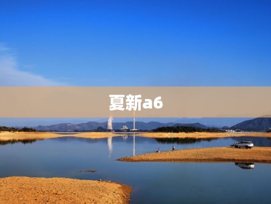 夏新a6