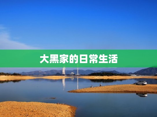大黑家的日常生活