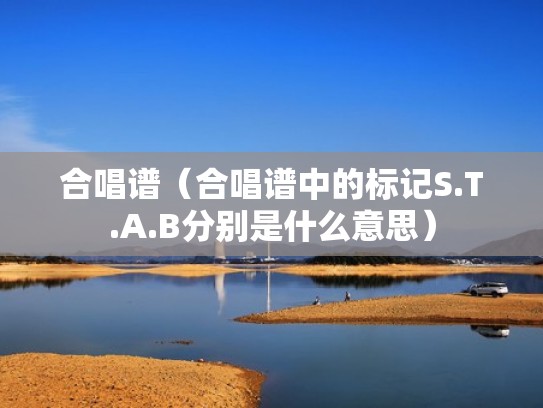 合唱谱（合唱谱中的标记S.T.A.B分别是什么意思）