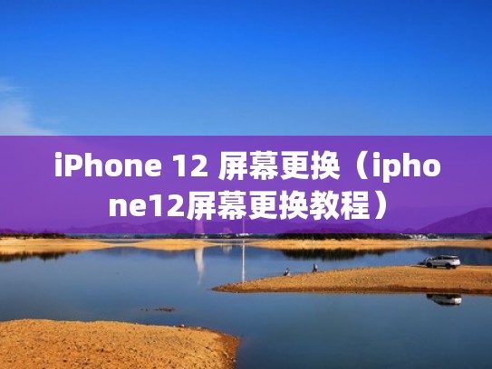 iPhone 12 屏幕更换（iphone12屏幕更换教程）