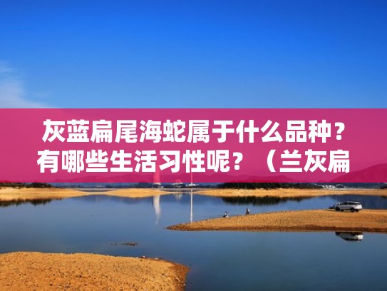 灰蓝扁尾海蛇属于什么品种？有哪些生活习性呢？（兰灰扁尾海蛇）