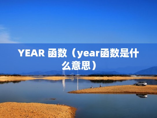 YEAR 函数（year函数是什么意思）