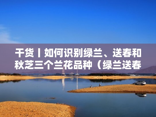 干货丨如何识别绿兰、送春和秋芝三个兰花品种（绿兰送春秋芝兰的识别）