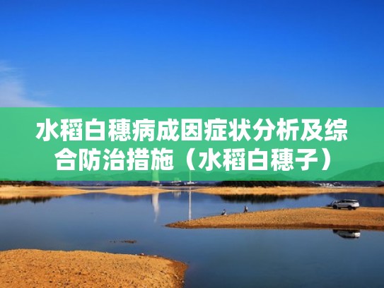 水稻白穗病成因症状分析及综合防治措施（水稻白穗子）