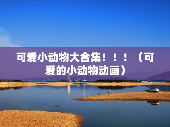 可爱小动物大合集！！！（可爱的小动物动画）