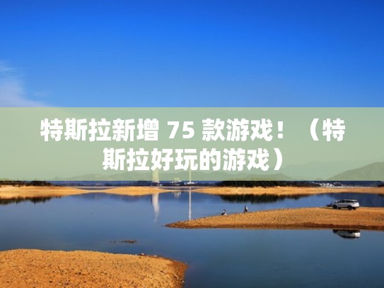 特斯拉新增 75 款游戏！（特斯拉好玩的游戏）